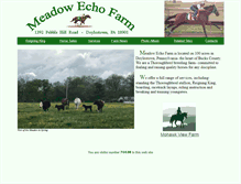 Tablet Screenshot of meadowechofarm.com